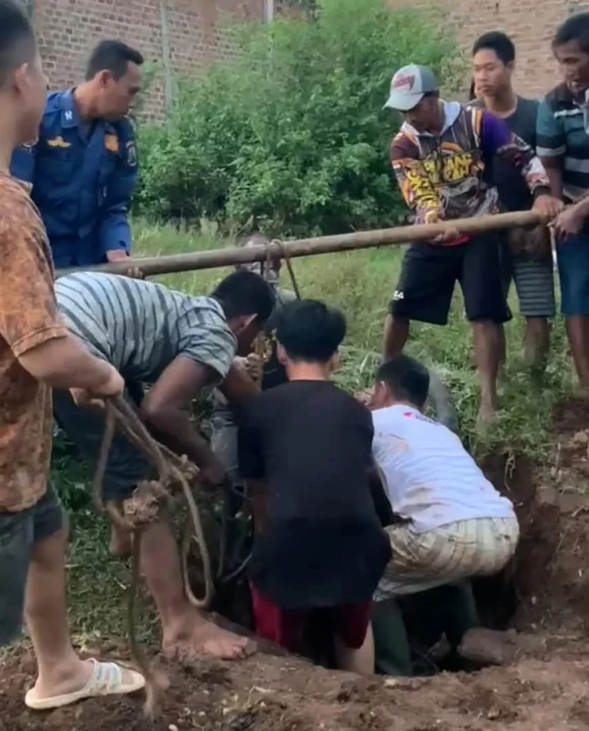 Sapi Jatuh ke Sumur di Lampung Selatan, Warga Bisa Bernapas Lega Setelah Evakuasi Berhasil