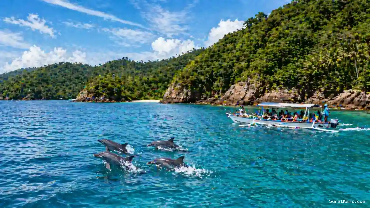 Destinasi Wisata Teluk Kiluan Favorit Pecinta Alam