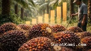 Saham CPO Menguat, Harga Sawit Global Naik