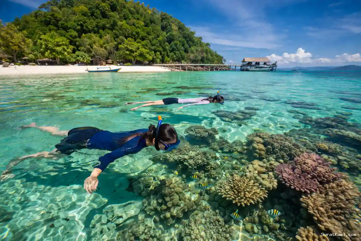 Pulau Pahawang Surga Snorkeling di Lampung