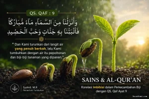 Korelasi Mendalam QS. Qaf Ayat 9 dengan Konsep Imbibisi dalam Perkecambahan Biji