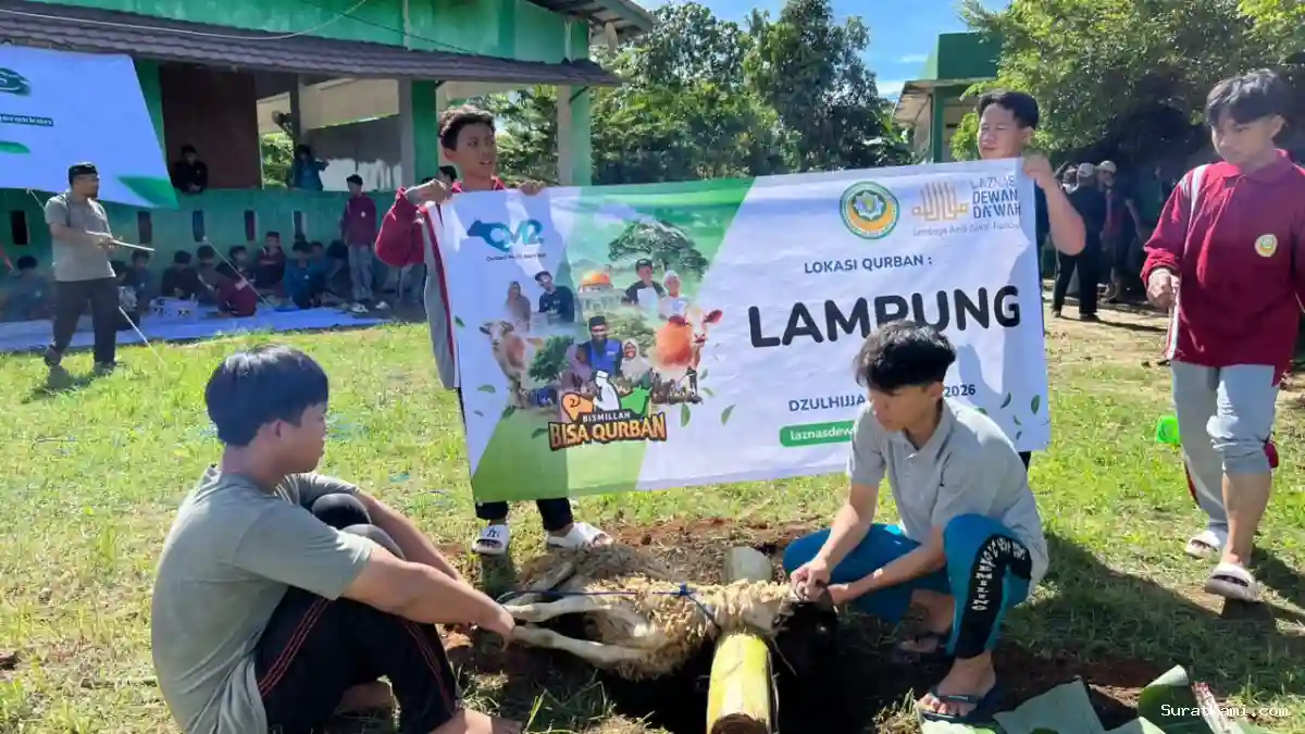 Alhamdulillah, PPTQ Dewan Da’wah Lampung Sembelih 4 Ekor Sapi dan 2 Ekor Kambing