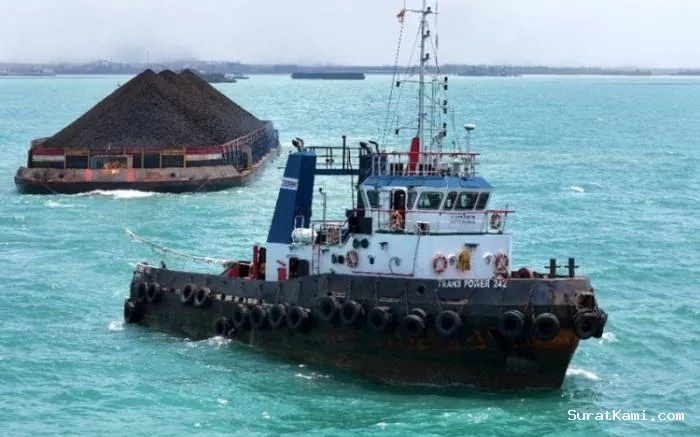 MBSS Kembali Tak Bagikan Dividen, Laba Ditahan Capai Rp2 Triliun