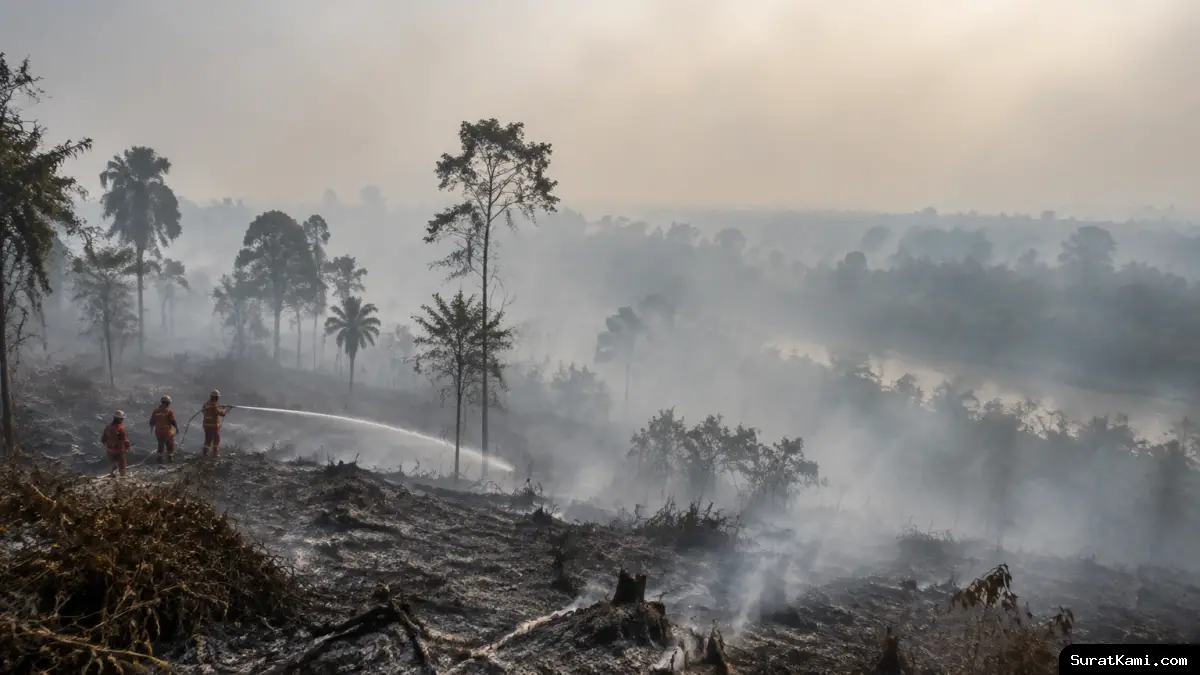 Perusahaan Terindikasi Karhutla Diminta Bertindak oleh Singapura